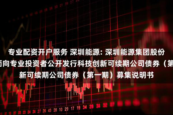专业配资开户服务 深圳能源: 深圳能源集团股份有限公司2025年面向专业投资者公开发行科技创新可续期公司债券(第一期)募集说明书