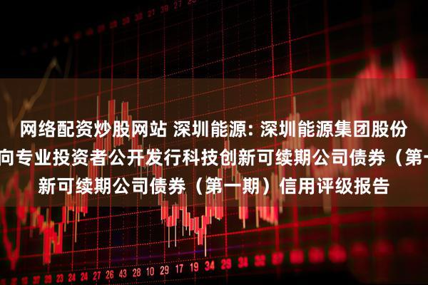 网络配资炒股网站 深圳能源: 深圳能源集团股份有限公司2025年面向专业投资者公开发行科技创新可续期公司债券（第一期）信用评级报告