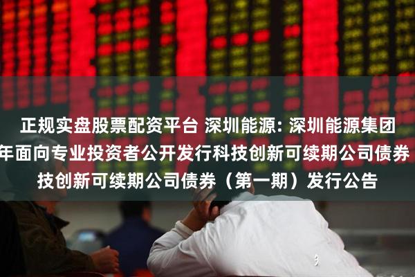 正规实盘股票配资平台 深圳能源: 深圳能源集团股份有限公司2025年面向专业投资者公开发行科技创新可续期公司债券(第一期)发行公告